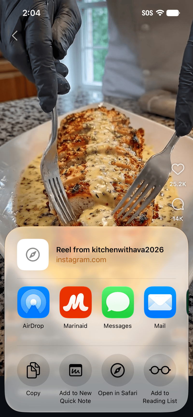 Sharing an Instagram Reel to Marinaid from the iOS share sheet